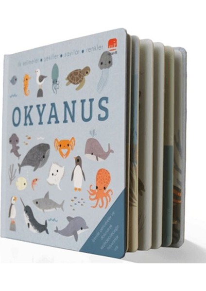 Say Bul Eğlen Okyanus