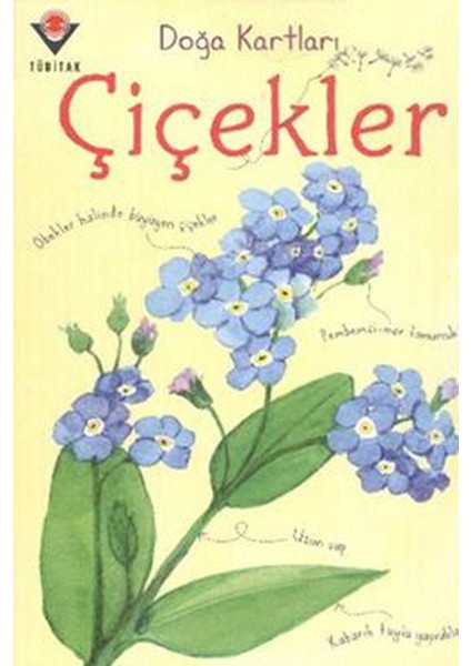 Doğa Kartları - Çiçekler