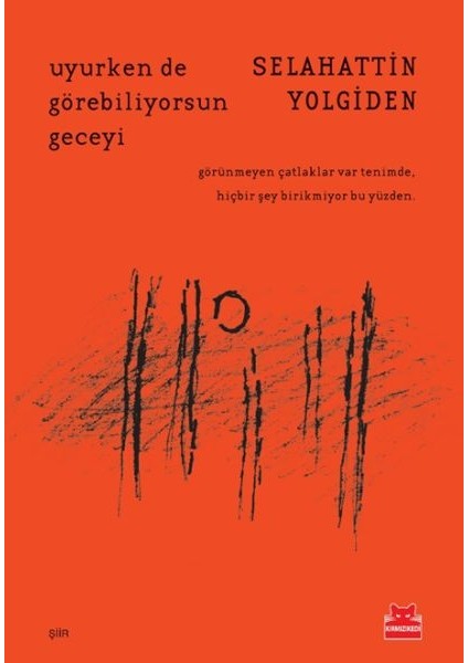 Uyurken De Görebiliyorsun Geceyi