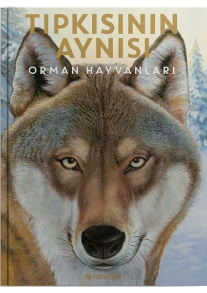 Tıpkısının Aynısı