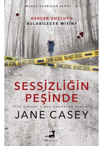 Sessizliğin Peşinde