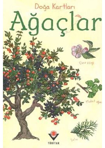 Doğa Kartları - Ağaçlar