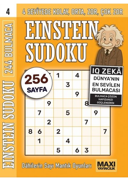 Einstein Sudoku 4