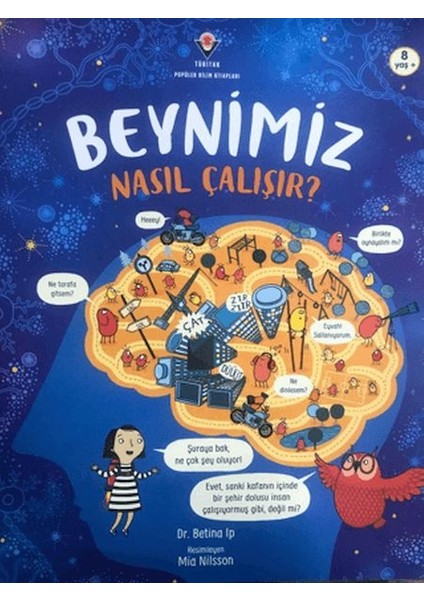 Beynimiz Nasıl Çalışır?