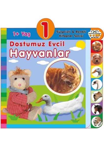 Dostumuz Evcil Hayvanlar (1+Yaş)