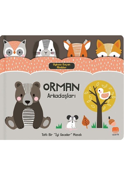 Uykusu Kaçan Minikler Orman Arkadaşları