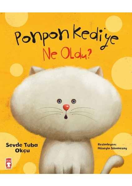 Ponpon Kediye Ne Oldu
