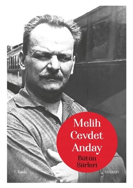 Melih Cevdet Anday - Bütün Şiirleri