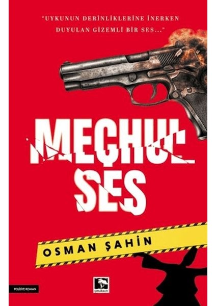 Meçhul Ses