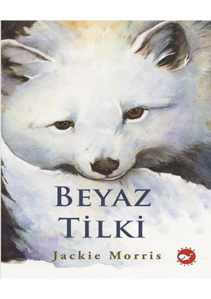 Beyaz Tilki (Ciltli)