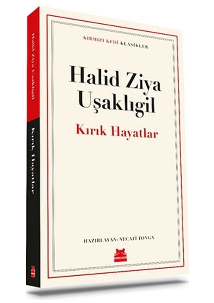Kırık Hayatlar