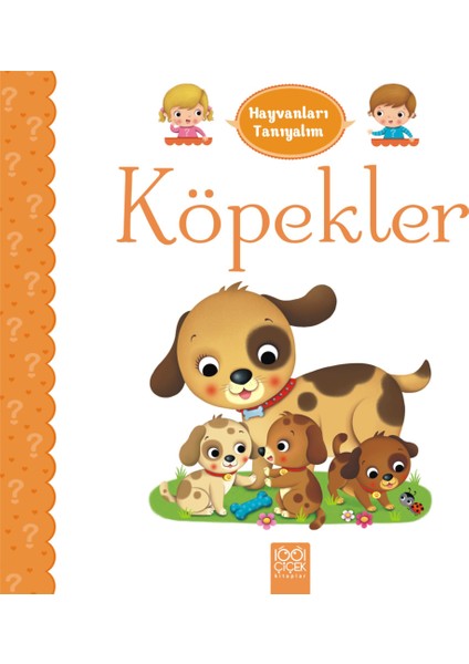 Hayvanları Tanıyalım - Köpekler