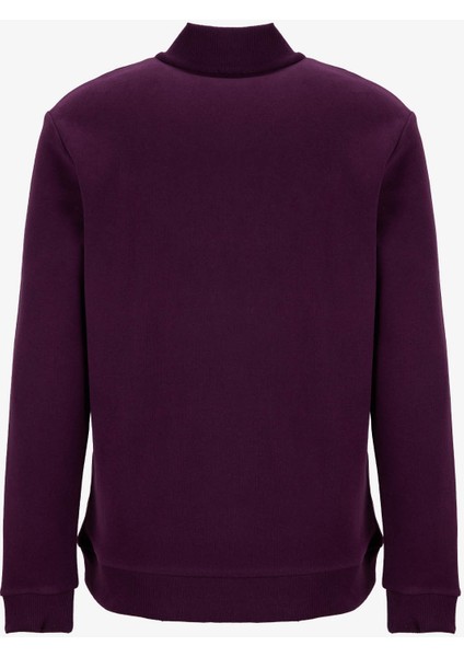 D5WM-SWT3941 Mürdüm Dik Yaka Relaxed Düz Erkek Sweatshırt modelleri