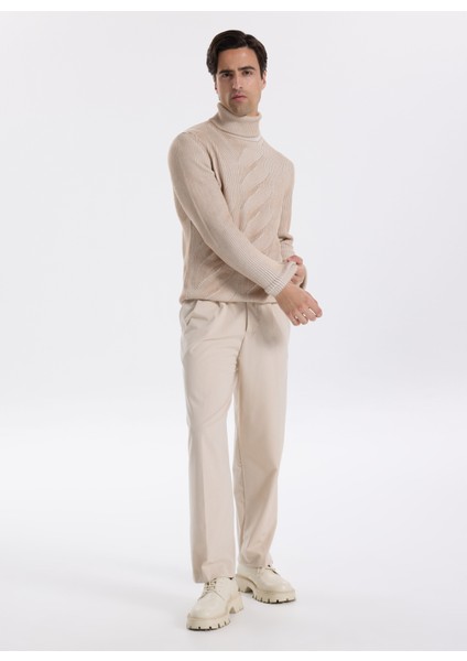 Tam Balıkçı Yaka Slim Fit Jakarlı Vizon Erkek Kazak F5WM-KZK 2296 modelleri