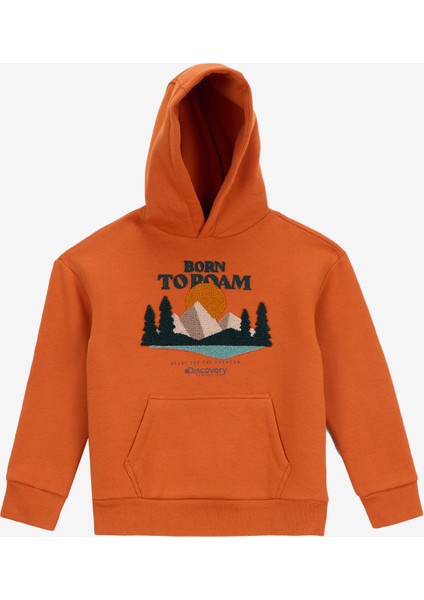 Baskılı Erkek Çocuk Kiremit Sweatshırt D5WB-SWT3043