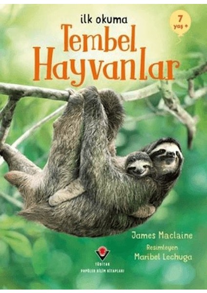 Ilk Okuma - Tembel Hayvanlar