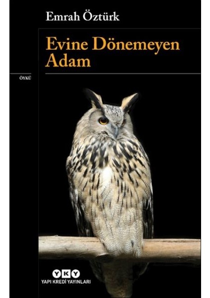 Evine Dönemeyen Adam