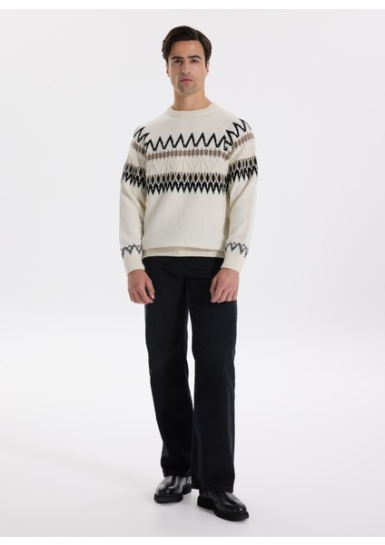 Bisiklet Yaka Slim Fit Desenli Ekru Erkek Kazak F5WM-KZK 2541