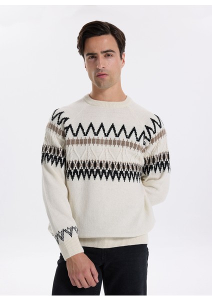 Bisiklet Yaka Slim Fit Desenli Ekru Erkek Kazak F5WM-KZK 2541 fiyatları