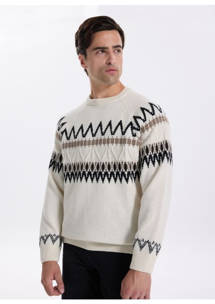 Bisiklet Yaka Slim Fit Desenli Ekru Erkek Kazak F5WM-KZK 2541 modelleri