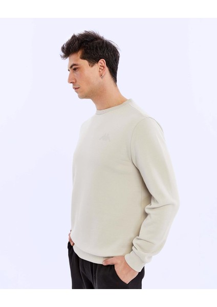 Tonnio Erkek Gri Regular Fit Sweatshirt modelleri