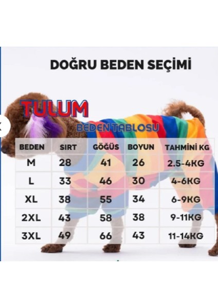 Depresso Kedi Köpek Pijama Tulum fırsatları