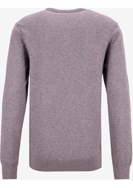 Bisiklet Yaka Slim Fit Düz Gri Melanj Erkek Kazak F5WM-KZK 2883 modelleri