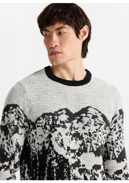 D5WM-KZK3790 Siyah - Ekru Bisiklet Yaka Relaxed Desenli Erkek Kazak