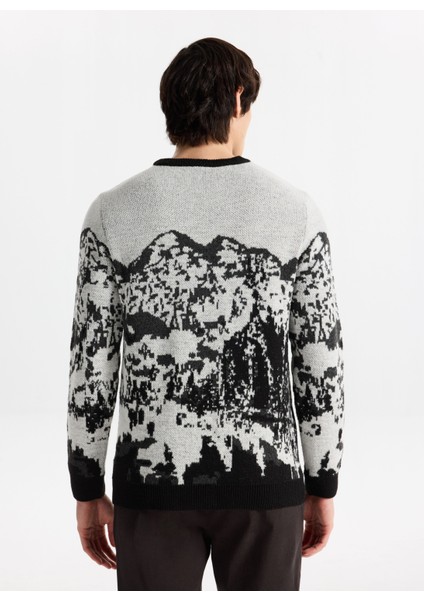 D5WM-KZK3790 Siyah - Ekru Bisiklet Yaka Relaxed Desenli Erkek Kazak indirimleri