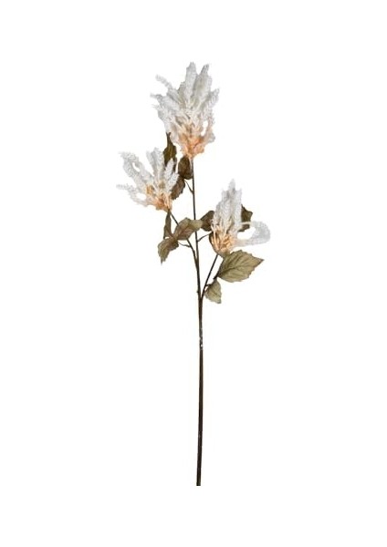 Çiçekli Bitki Pampas Krem 90 Cm. modelleri