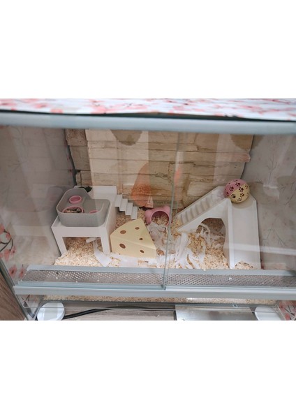 Akvaryum Saklanma Yeri, Akvaryum Süsü fiyatları