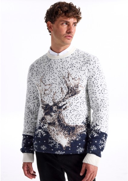 Bisiklet Yaka Slim Fit Desenli Kırık Beyaz Erkek Kazak F5WM-KZK 2540