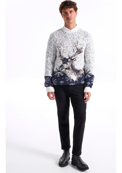 Bisiklet Yaka Slim Fit Desenli Kırık Beyaz Erkek Kazak F5WM-KZK 2540 fiyatları