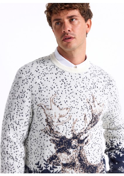 Bisiklet Yaka Slim Fit Desenli Kırık Beyaz Erkek Kazak F5WM-KZK 2540 modelleri