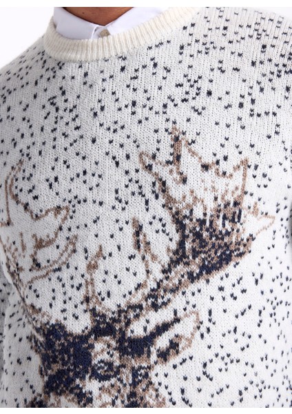 Bisiklet Yaka Slim Fit Desenli Kırık Beyaz Erkek Kazak F5WM-KZK 2540 fırsatları