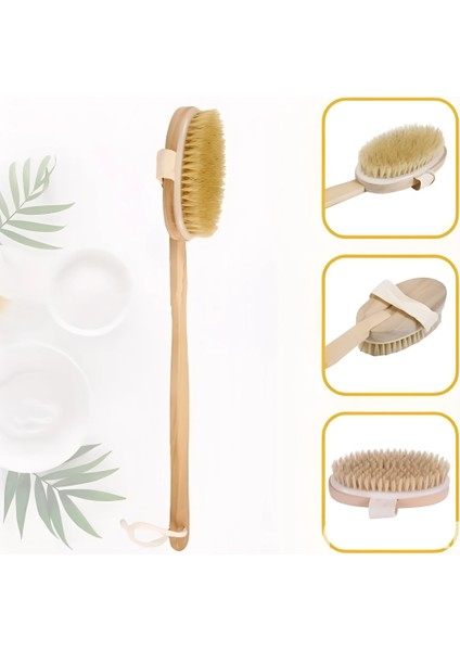 Doğal At Kılı Selülit Karşıtı Sapı Çıkabilen Ahşap Banyo Fırçası
