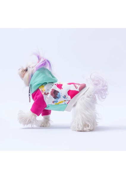 Rio Kedi Köpek Hoodie