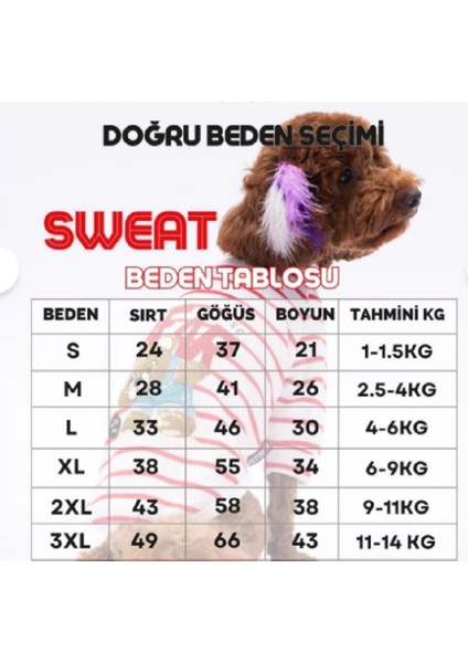 Rio Kedi Köpek Hoodie fırsatları