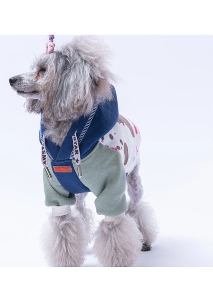 Rio Kedi Köpek Hoodie fiyatları