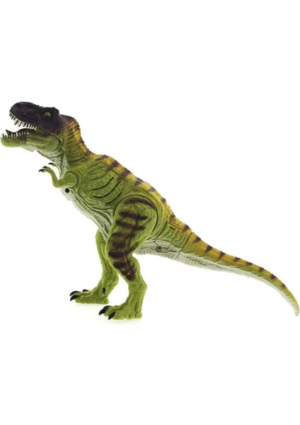 Sesli ve Işıklı Dinozor T-Rex 34CM Kız Erkek Çocuk Oyuncak Eğitici Oyuncaklar modelleri