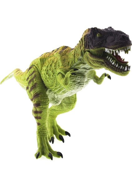 Sesli ve Işıklı Dinozor T-Rex 34CM Kız Erkek Çocuk Oyuncak Eğitici Oyuncaklar