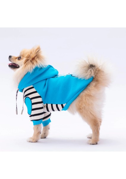 Turkuaz Lucky Club Kedi Köpek Hoodie