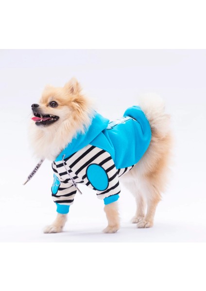 Turkuaz Lucky Club Kedi Köpek Hoodie modelleri