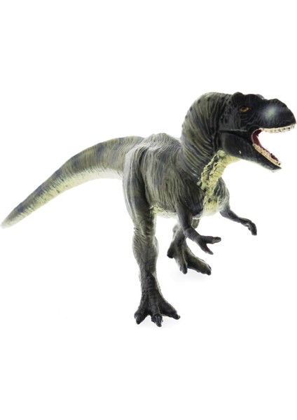 Sert Plastik Dinozor Figür - T-Rex Kız Erkek Çocuk Oyuncak Eğitici Oyuncaklar modelleri