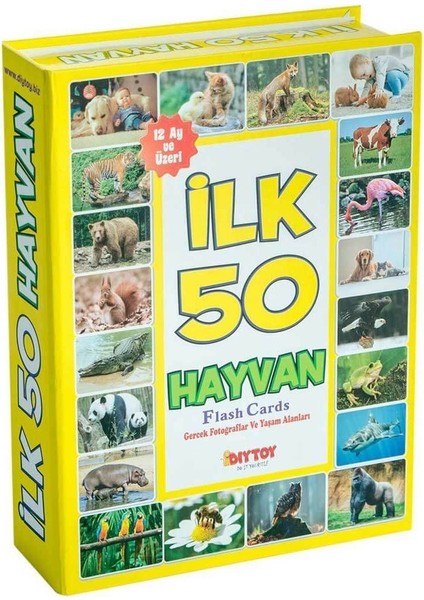 1352 Flash Cards Ilk 50 Hayvan Kız Erkek Çocuk Oyuncak Eğitici Oyuncaklar