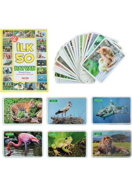 1352 Flash Cards Ilk 50 Hayvan Kız Erkek Çocuk Oyuncak Eğitici Oyuncaklar fiyatları