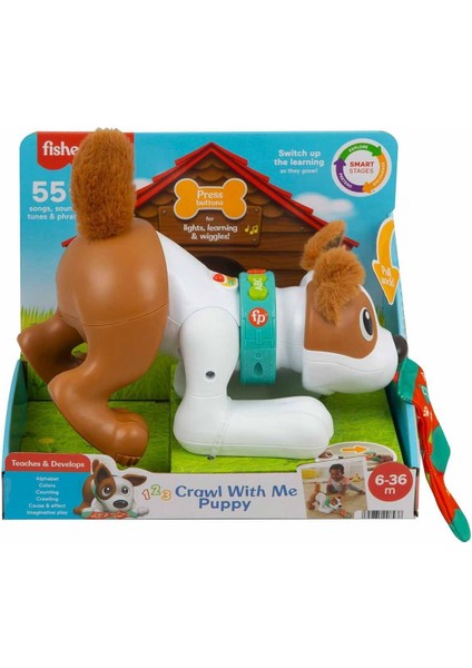 HHH13 Fisher Price, Emeklemeyi ve Saymayı Öğreten Köpekçik Kız Erkek Çocuk Oyuncak Eğitici Oyuncakla