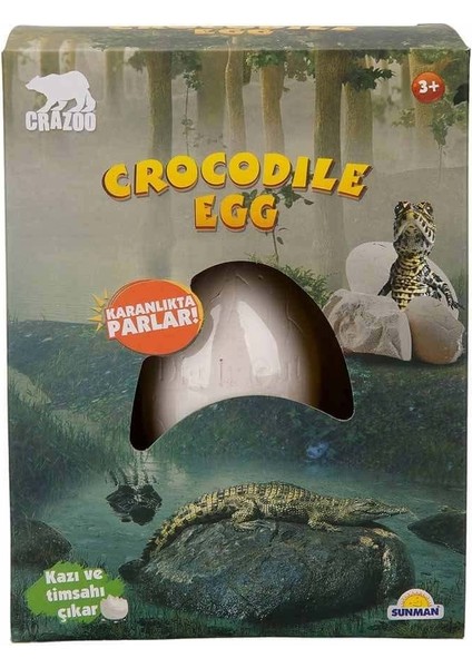 Karanlıkta Parlayan Timsah Fosil Kazı Seti Kız Erkek Çocuk Oyuncak Eğitici Oyuncaklar fiyatları