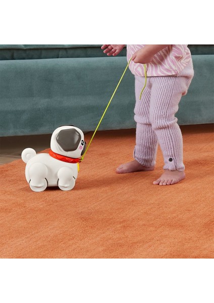 HTW94 Fisher-Price Minik Dostumla Yürüyüş Kız Erkek Çocuk Oyuncak Eğitici Oyuncaklar modelleri