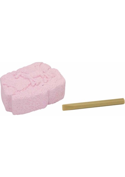 Karanlıkta Parlayan Unicorn Fosil Kazı Seti Kız Erkek Çocuk Oyuncak Eğitici Oyuncaklar